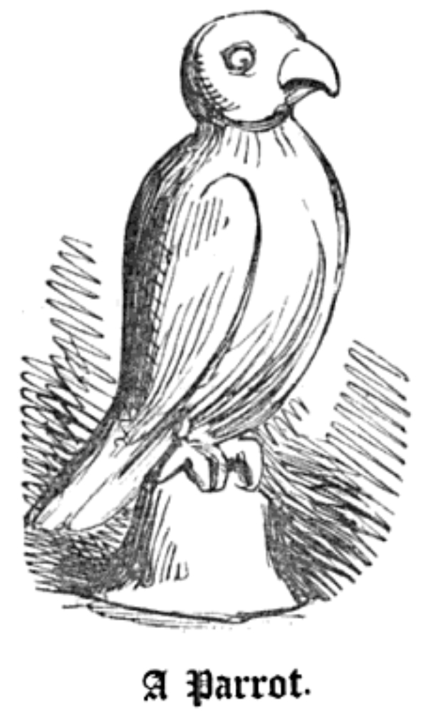 William Hone's sketch of a plaster of Paris parrot